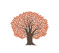 Oak tree logo. Isolated oak tree on white background